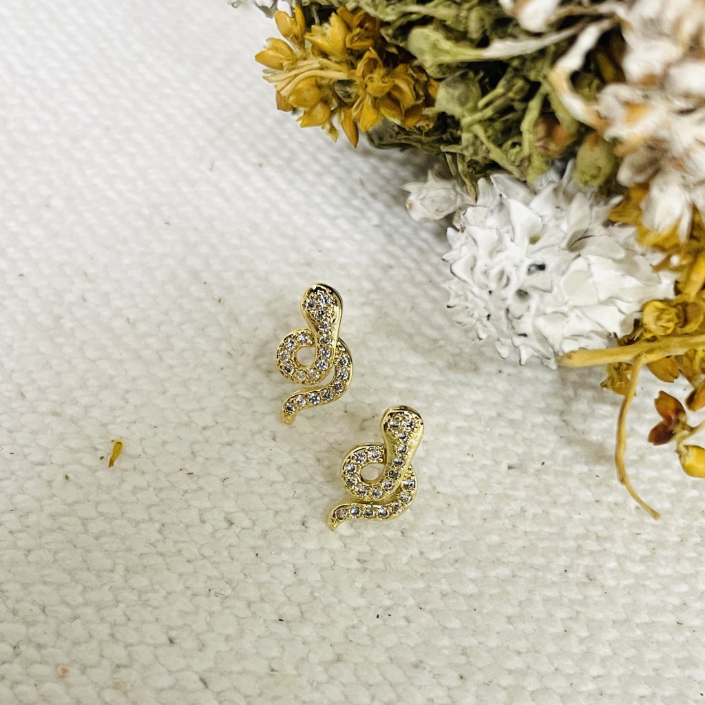 Stainless steel earrings