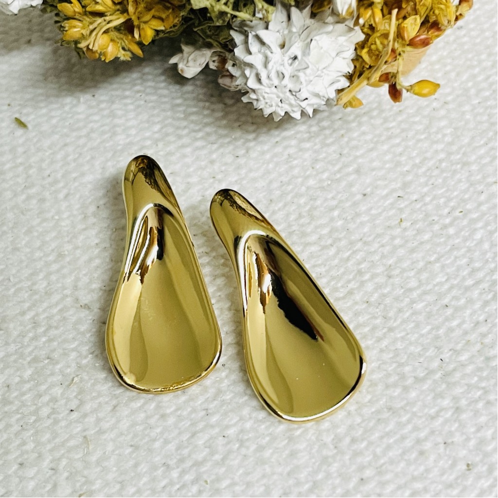 Stainless steel earrings