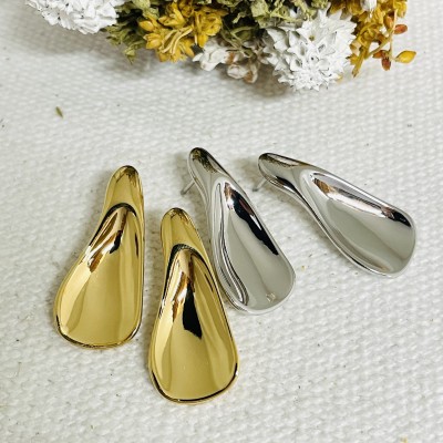 Stainless steel earrings