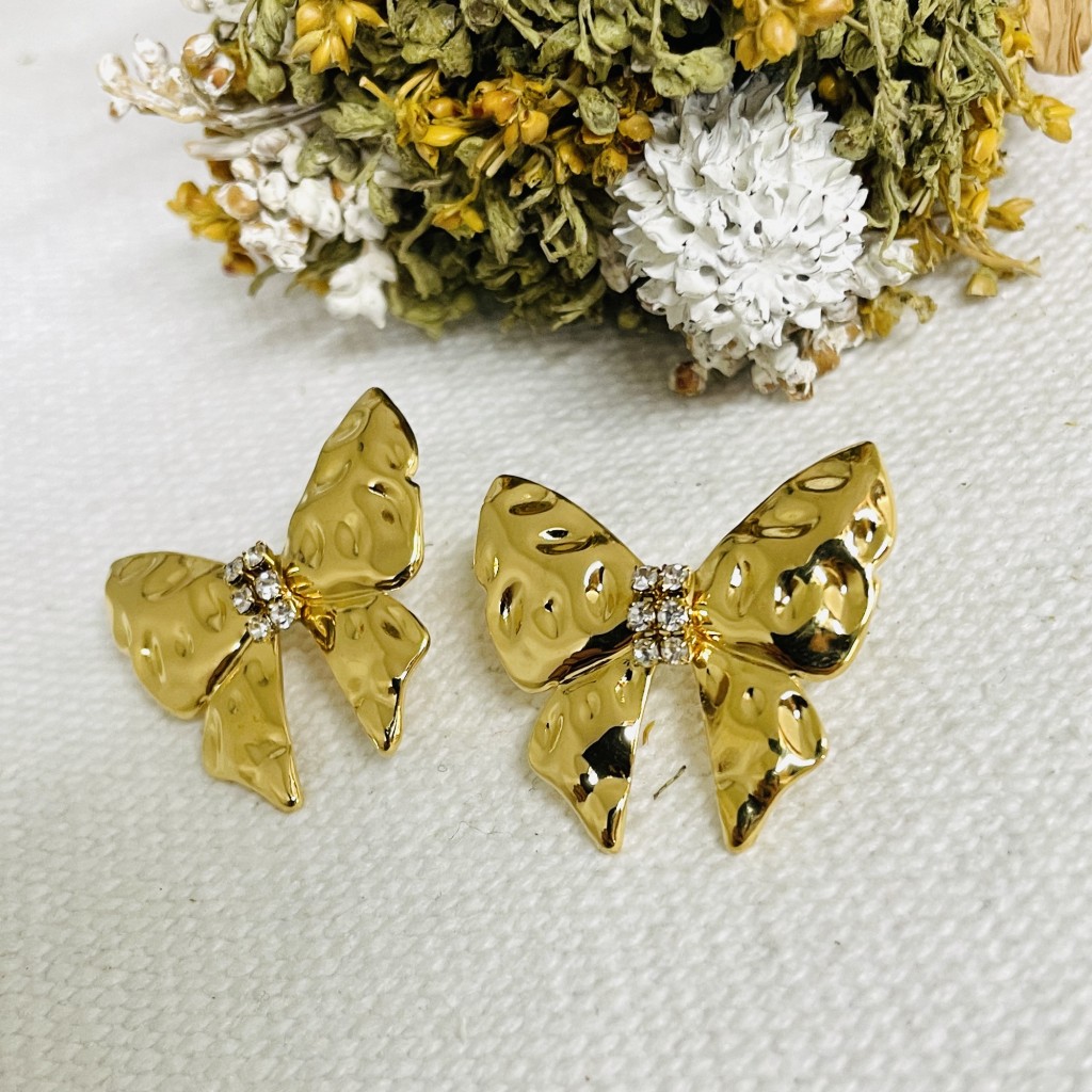 Stainless steel earrings