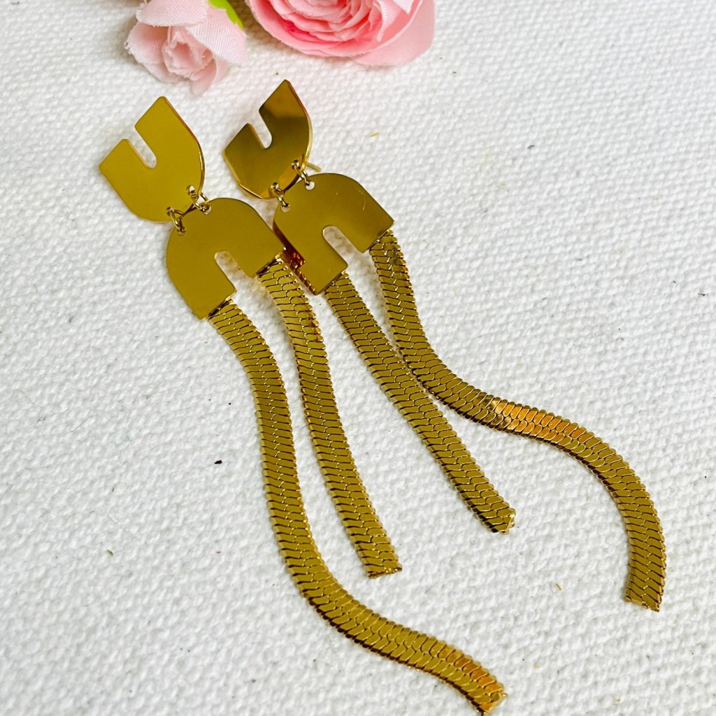 Stainless steel earrings