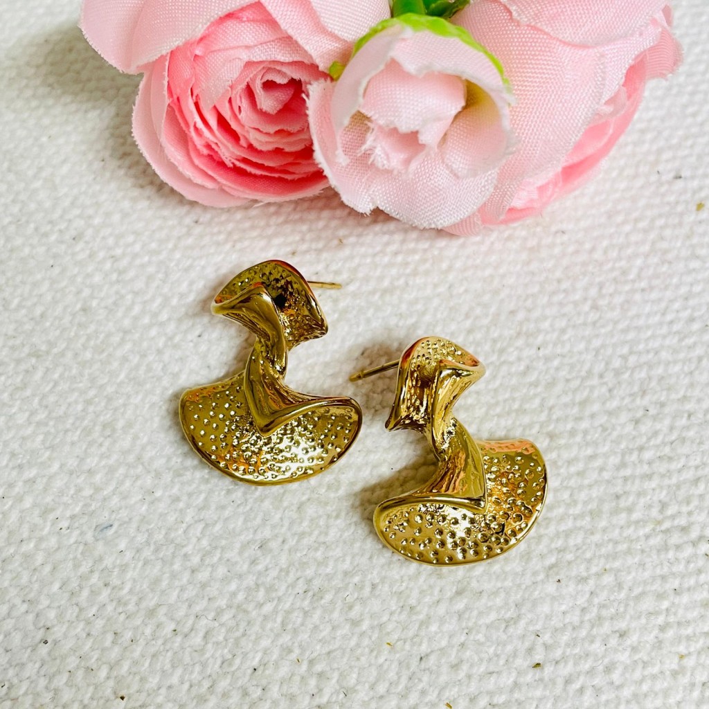 Stainless steel earrings