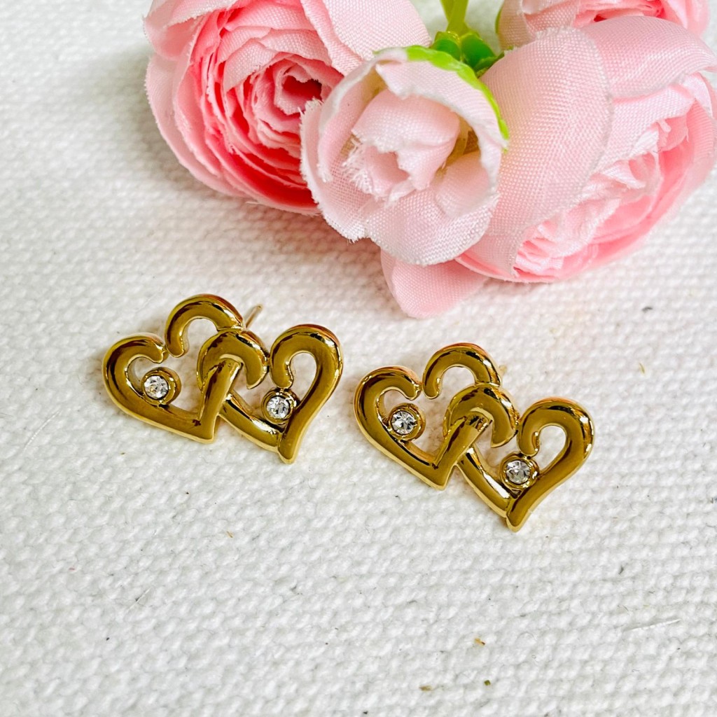 Stainless steel earrings