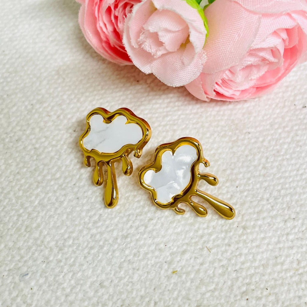Stainless steel earrings