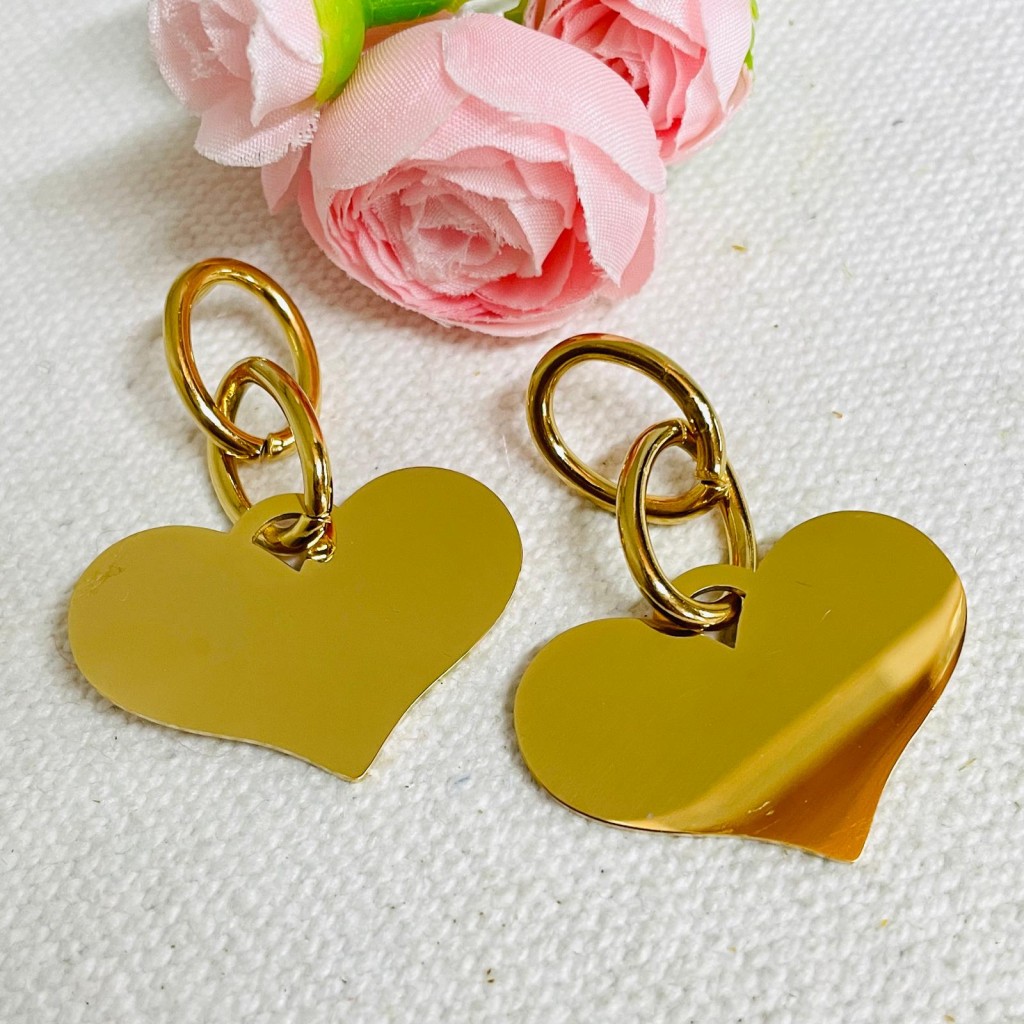 Stainless steel earrings