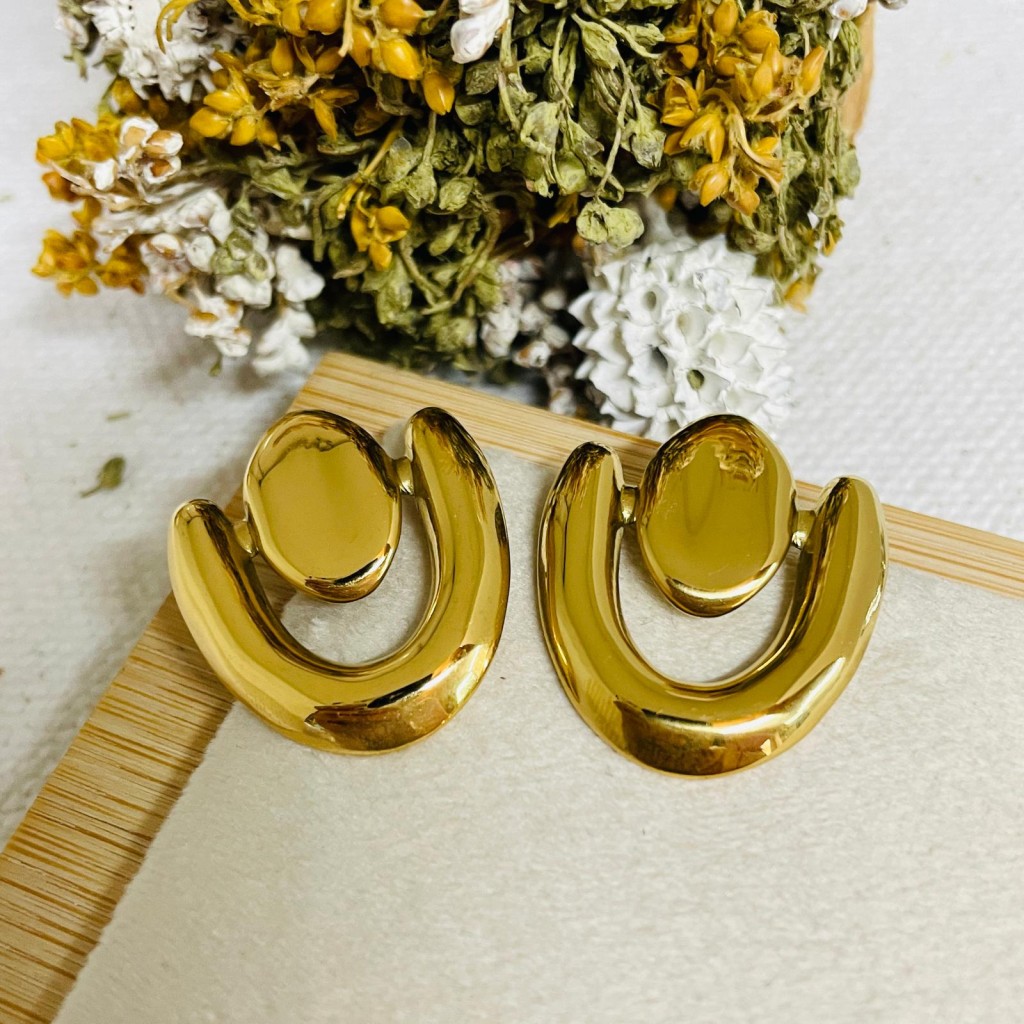 Stainless steel earrings