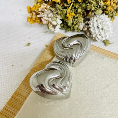 Stainless steel earrings