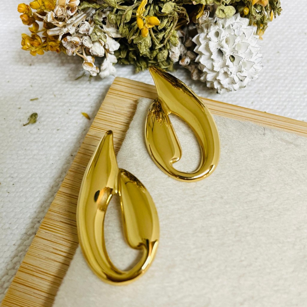 Stainless steel earrings