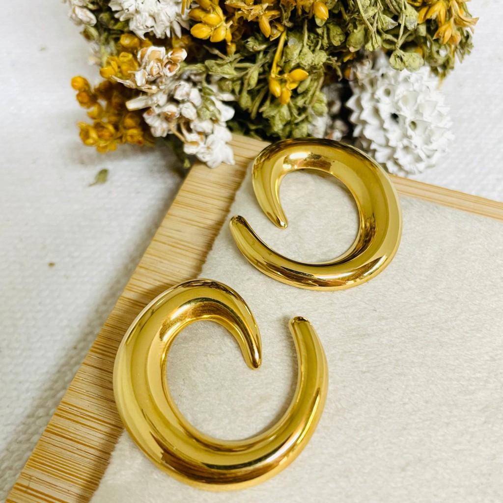 Stainless steel earrings