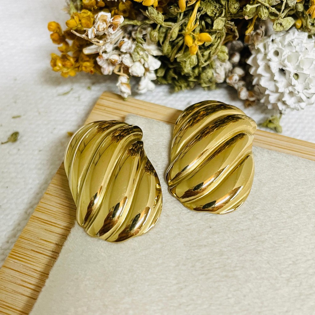 Stainless steel earrings