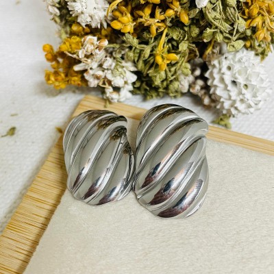Stainless steel earrings