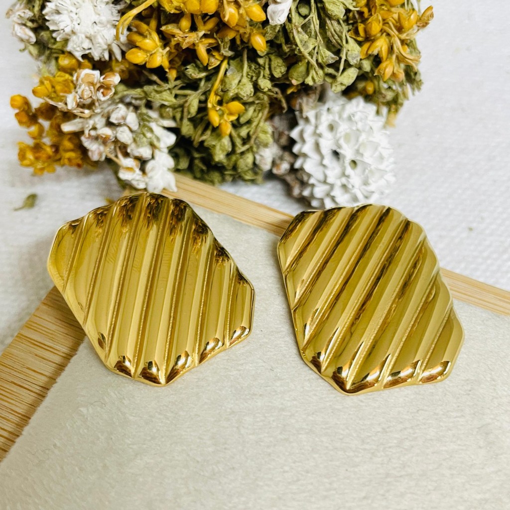 Stainless steel earrings