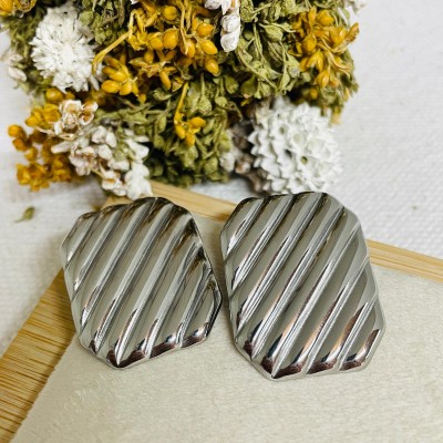 Stainless steel earrings