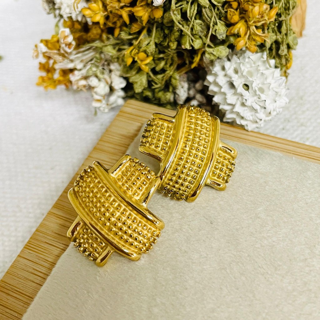 Stainless steel earrings