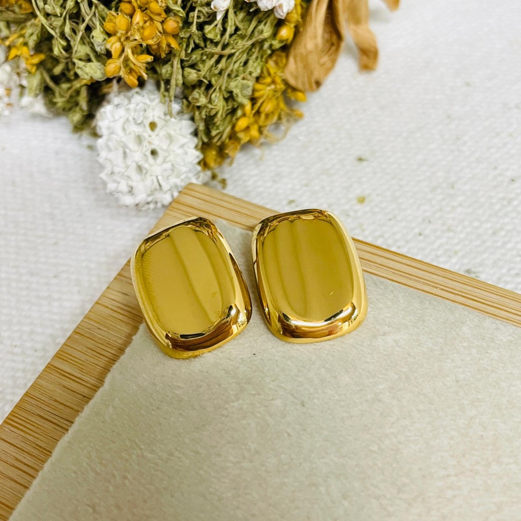 Stainless steel earrings