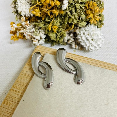 Stainless steel earrings