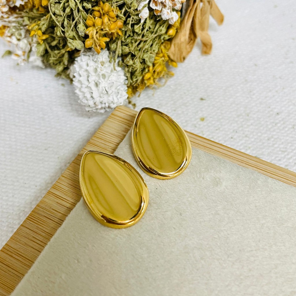 Stainless steel earrings