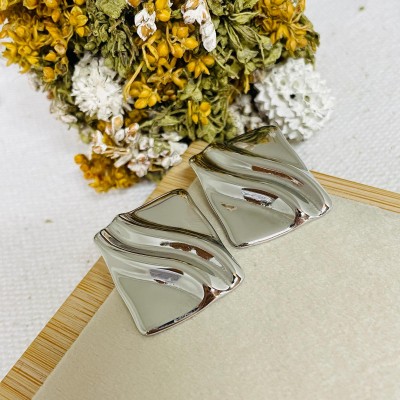 Stainless steel earrings