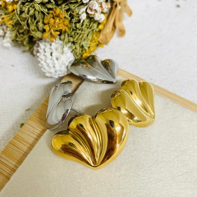 Stainless steel earrings