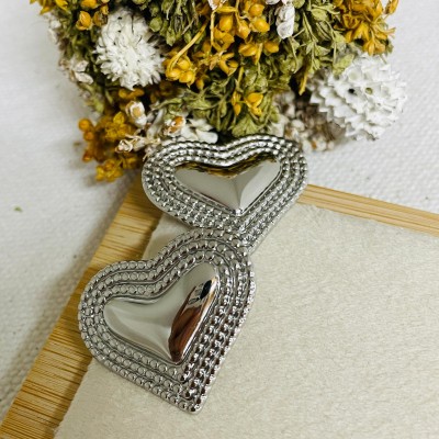Stainless steel earrings
