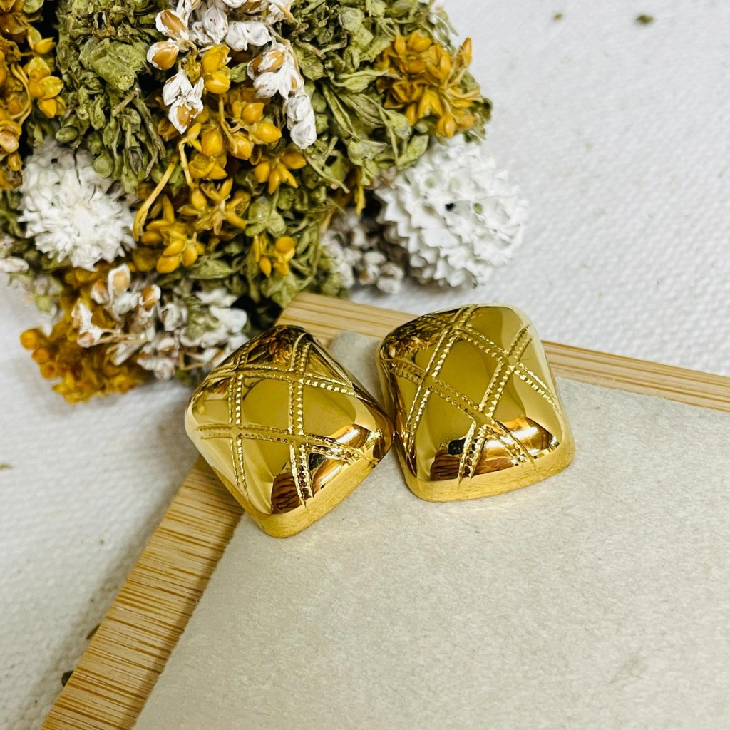 Stainless steel earrings