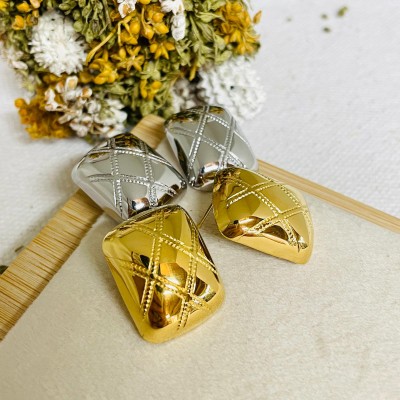 Stainless steel earrings
