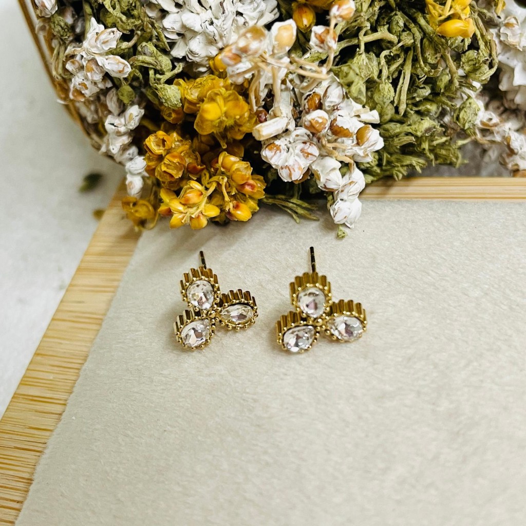 Stainless steel earrings