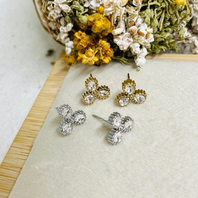 Stainless steel earrings