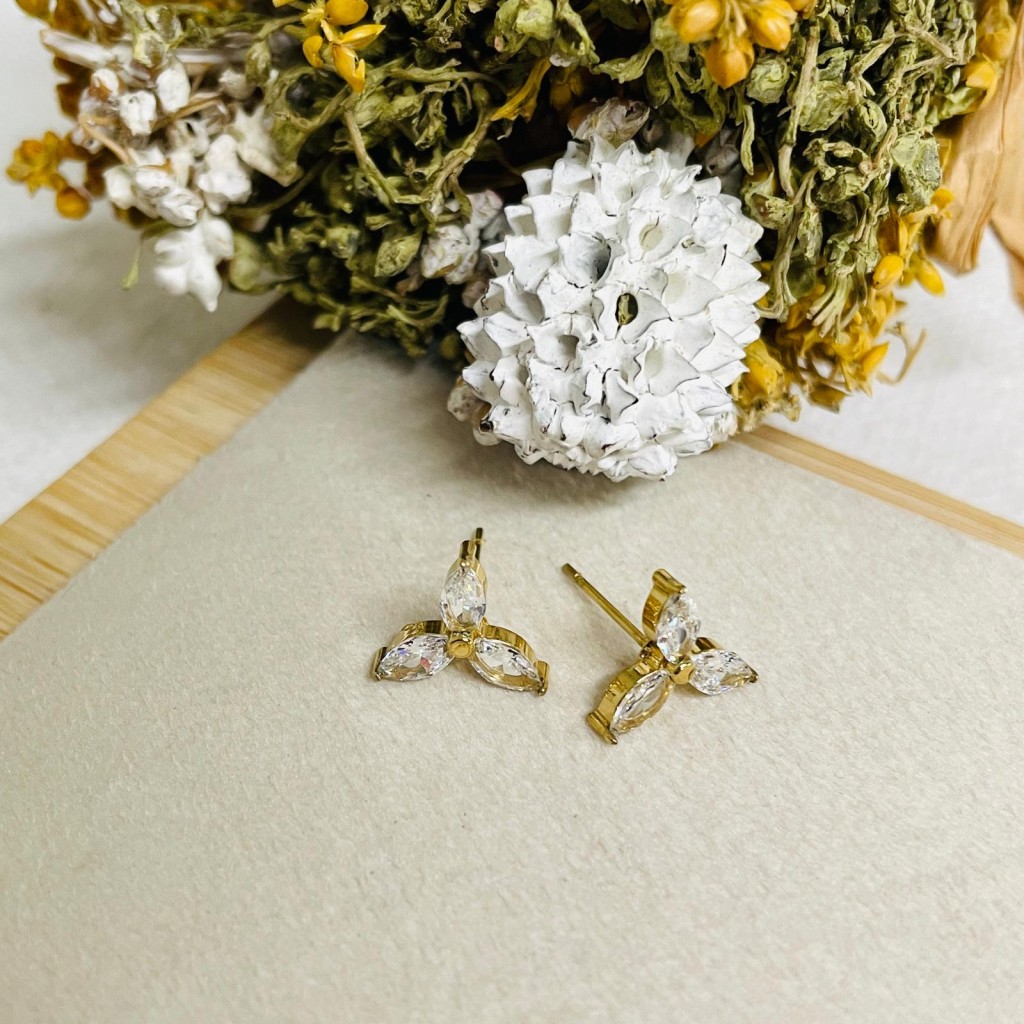 Stainless steel earrings