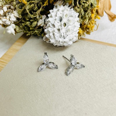Stainless steel earrings