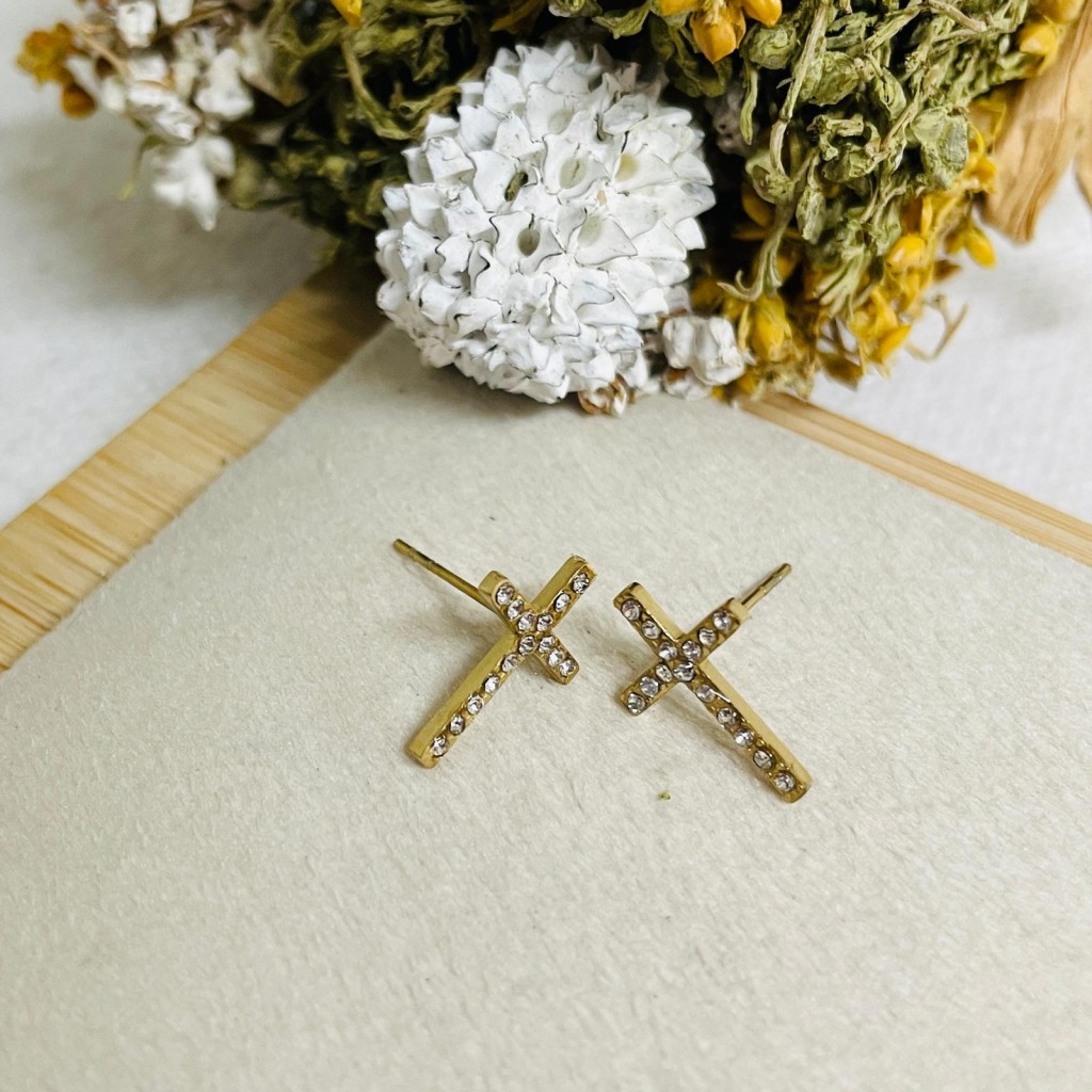 Stainless steel earrings