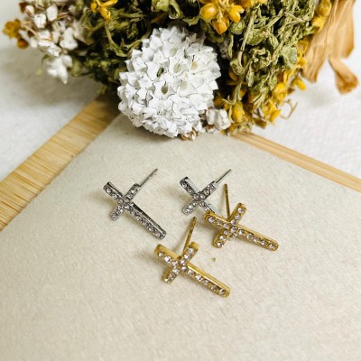 Stainless steel earrings
