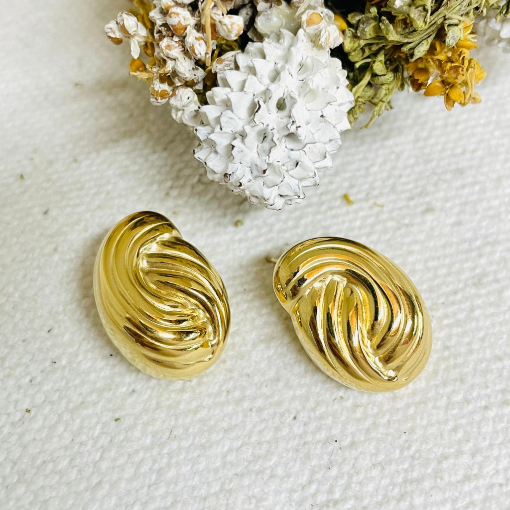 Stainless steel earrings
