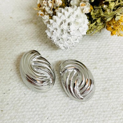 Stainless steel earrings
