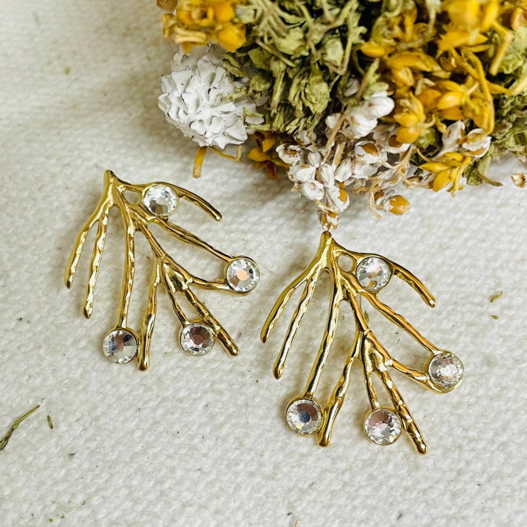 Stainless steel earrings