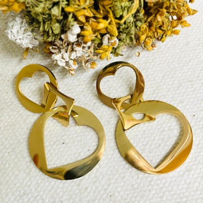 Stainless steel earrings