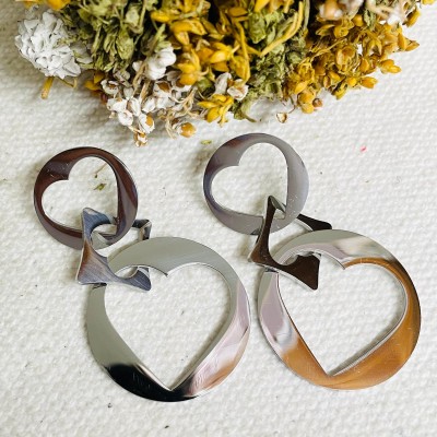Stainless steel earrings