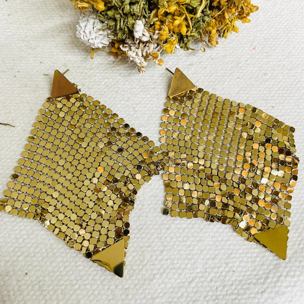 Stainless steel earrings
