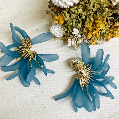 Stainless steel earrings