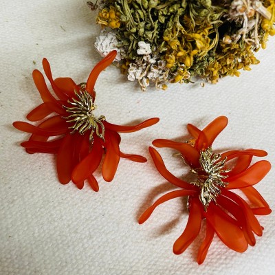 Stainless steel earrings
