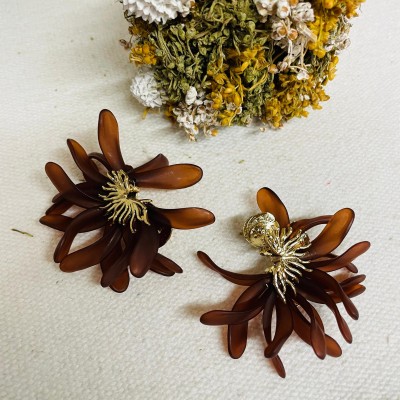Stainless steel earrings