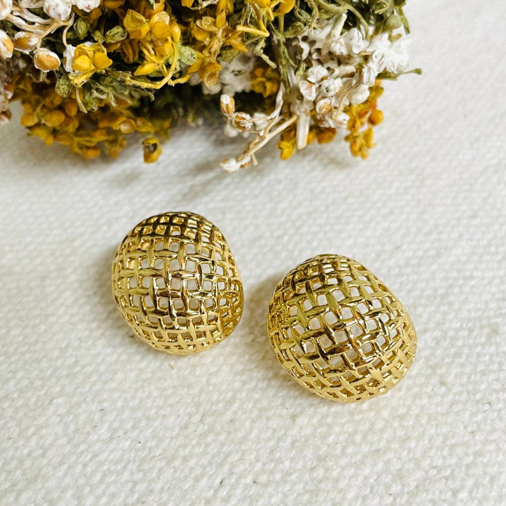 Stainless steel earrings