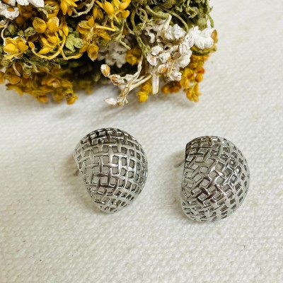 Stainless steel earrings