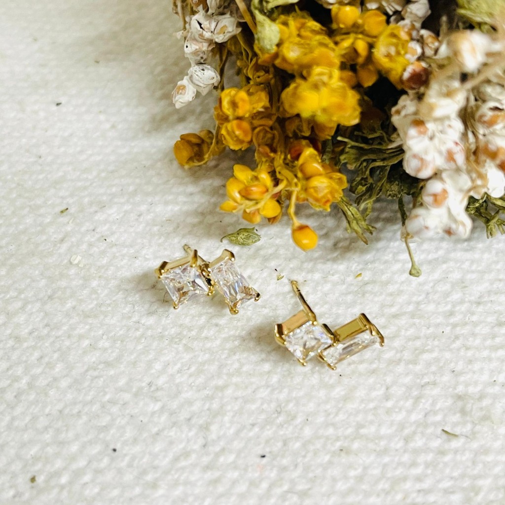 Stainless steel earrings