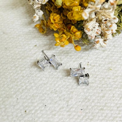 Stainless steel earrings
