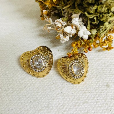 Stainless steel earrings