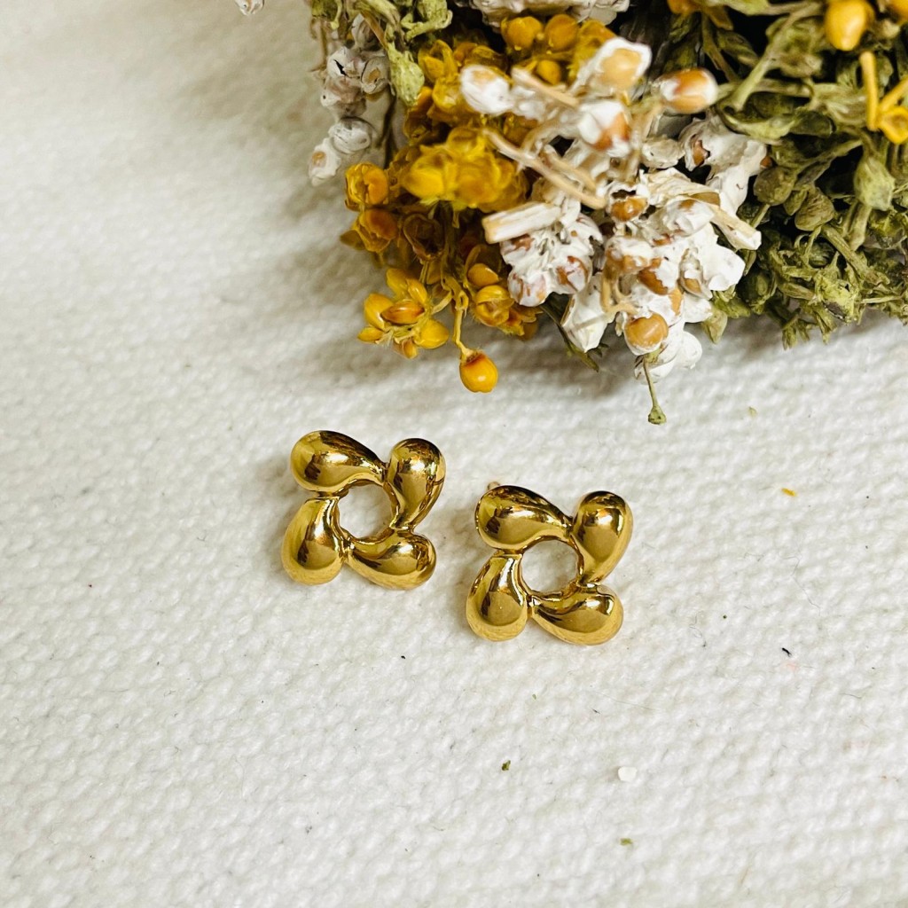 Stainless steel earrings