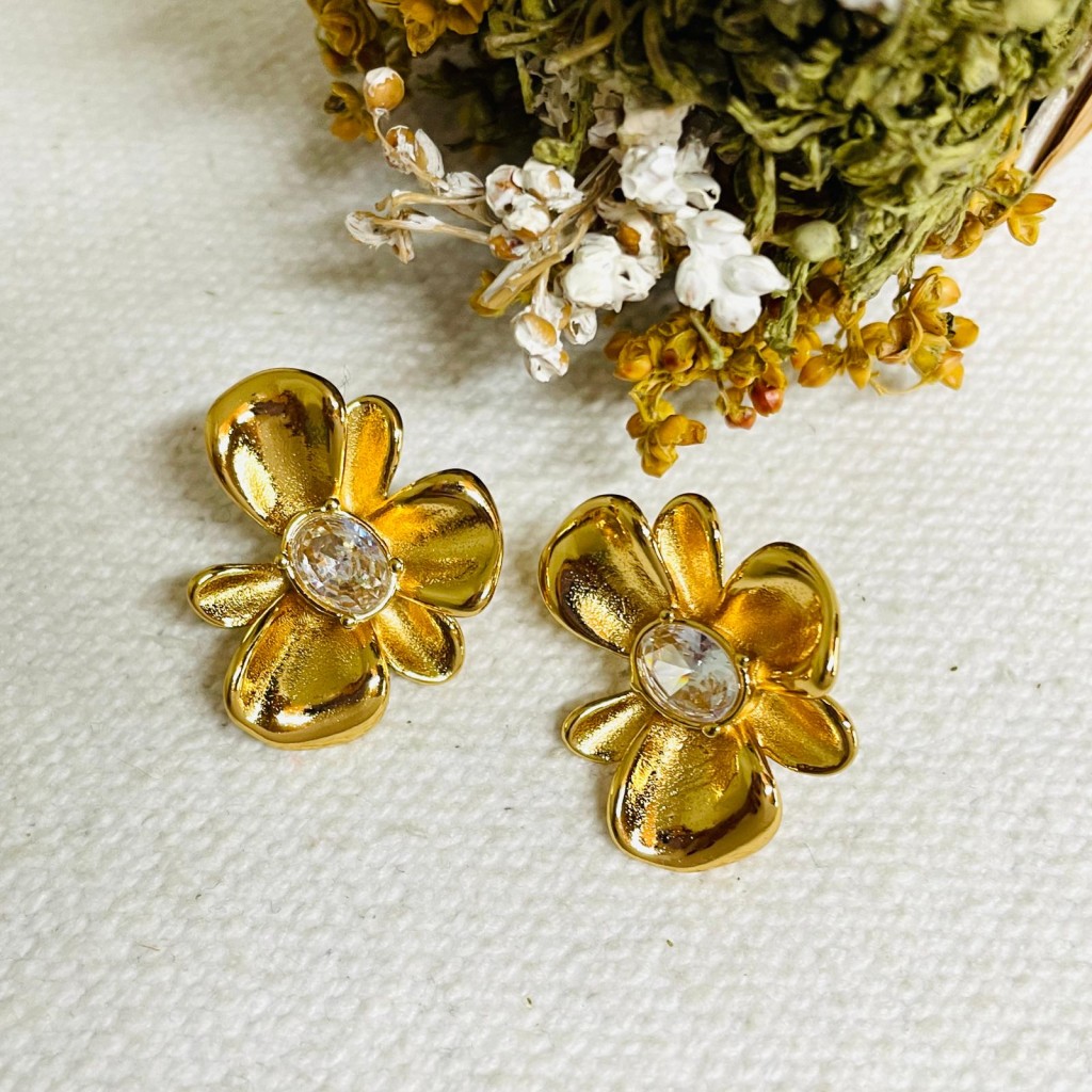 Stainless steel earrings