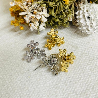Stainless steel earrings