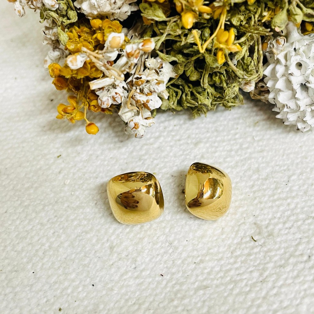 Stainless steel earrings